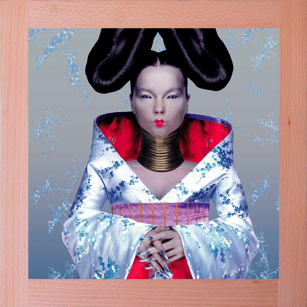 Bjork/ビョーク/Homogenic 1997年/限定1000枚/ポスター 面倒臭